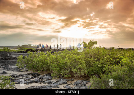 Isole GALAPAGOS, ECUADOR, un gruppo di persone appendere fuori sulla spiaggia e guardare il tramonto dal Fernandina Island Foto Stock