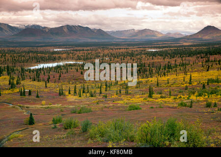 Stati Uniti d'America, Alaska, cantwell, cavallo pack viaggio nel jack della valle del fiume alla base dell'Alaska Range con gunter wamser e sonja endlweber Foto Stock