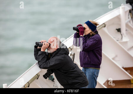 Stati Uniti d'America, Alaska Glacier Bay, i passeggeri ottengono un up-chiudere la vista delle montagne e insenature che circondano il Glacier Bay con l aiuto di un binocolo, mentre aboar Foto Stock