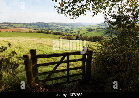 Vista di un azienda leader di gate in verde e lussureggiante campagna. Foto Stock