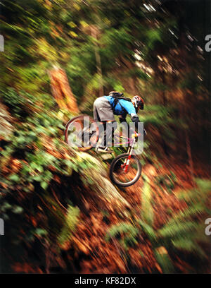 Canada, bc rockies, Squamish, giovane uomo mountain bike nella Foresta Foto Stock