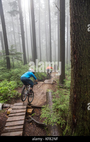 Canada Vancouver, British Columbia, Andrew baker e jordi morros mountain bike attraverso la foresta pluviale nella nebbia in North Vancouver Foto Stock