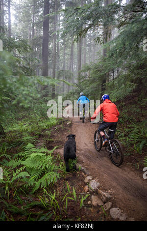 Canada Vancouver, British Columbia, Andrew baker e jordi morros mountain bike attraverso la foresta pluviale nella nebbia in North Vancouver Foto Stock
