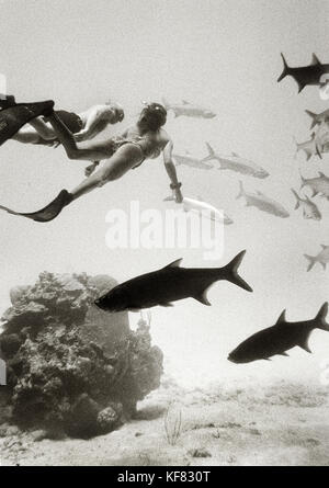 Isole Cayman, Grand Cayman, canadien nazionale team apnea pratiche di concorrenza nel mar dei Caraibi (b&W) Foto Stock