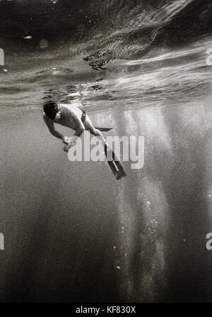 Isole Cayman, Grand Cayman, freediver pratiche di concorrenza nel mar dei Caraibi (b&W) Foto Stock
