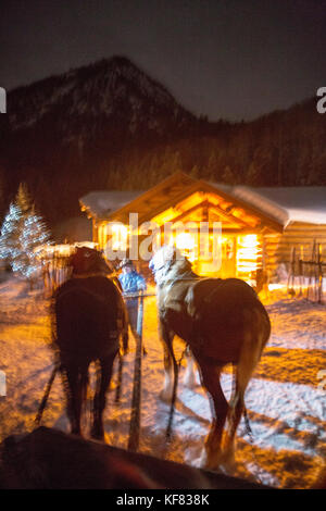 Stati Uniti d'America, colorado, Aspen, wrangler ali wade ottiene pronto a guidare i suoi cavalli e con la slitta al Pine Creek lodge Foto Stock