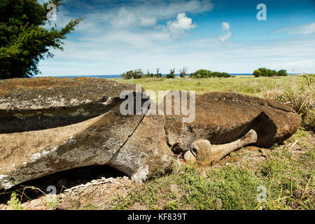 Isola di Pasqua, Cile, Isla de Pascua, Rapa Nui, una pietra moai stabilisce a faccia in giù in un paesaggio Foto Stock
