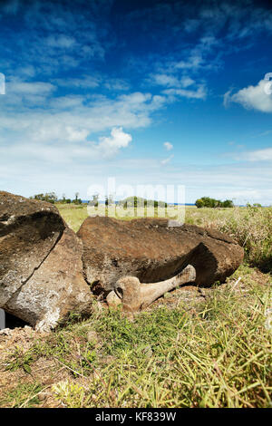 Isola di Pasqua, Cile, Isla de Pascua, Rapa Nui, una pietra moai stabilisce a faccia in giù in un paesaggio Foto Stock