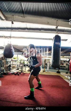 Stati Uniti d'America, Oahu, Hawaii, mma mixed martial arts ultimate fighter lowen tynanes treni e i longheroni a sua palestra a Honolulu Foto Stock