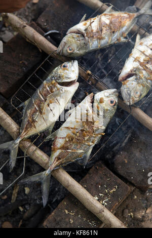 Indonesia, Flores, riung, cucinare il pesce chiamato bang kolong oltre la masterizzazione di gusci di noce di cocco presso il cafe de mar Foto Stock