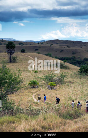 Indonesia, Flores, i turisti a piedi il paesaggio in cerca di komoda dragons sull isola di Rinca, parco nazionale di Komodo, Nusa Tenggara Est Foto Stock