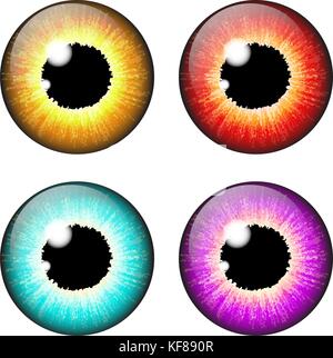 Iris occhio vettore realistico set design isolato su sfondo bianco Illustrazione Vettoriale