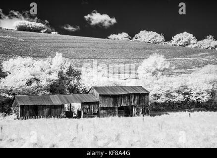 Un vecchio ferro corrugato fattoria in Exmoor shot a raggi infrarossi. Foto Stock