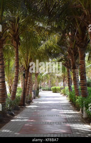 Percorso per la piscina, RIU Karamboa Hotel, Boa Vista, Capo Verde Foto Stock