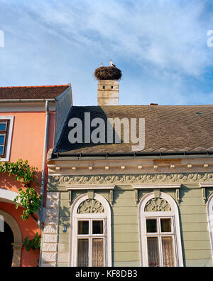 Austria, ruggine, cicogne nidificano in un tetto con camino nel centro della città, Burgenland Foto Stock