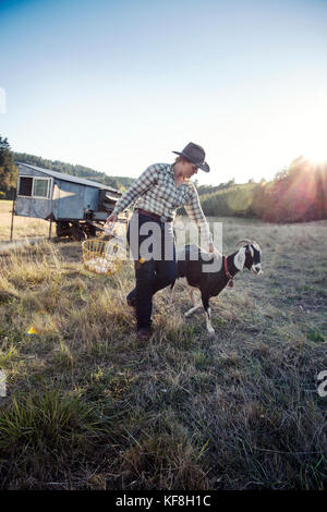 Stati Uniti d'America, oregon, Willamette Valley, Clare carver cammina con la sua capra "goateo' al grande tavolo aziende cantina, Gaston Foto Stock