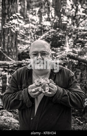 Stati Uniti d'America, oregon, Willamette Valley, ritratti di chef e il fungo jack hunter czarnecki holding chanterelle mushroooms nella gamma costiere montagne, ca Foto Stock