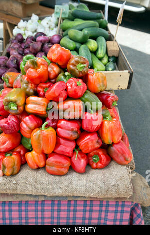 Stati Uniti d'America, oregon, Ashland, cane nero farm i peperoni in vendita presso la valle di rogue coltivatori e mercato crafters Foto Stock