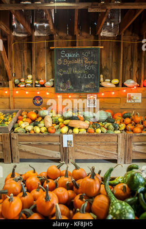 Stati Uniti d'America, oregon, piegare, zucche e squash per la vendita all'annuale zucca patch situato in terrebone vicino a Smith rock state park Foto Stock