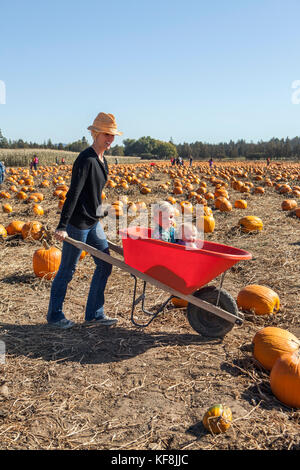 Stati Uniti d'America, oregon, piegare una madre ruote intorno ai suoi due bambini possono sedersi dentro una carriola all'annuale zucca patch situato in terrebone vicino a Smith ro Foto Stock