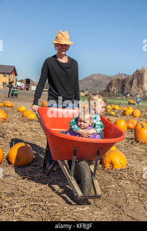 Stati Uniti d'America, oregon, piegare una madre ruote intorno ai suoi due bambini possono sedersi dentro una carriola all'annuale zucca patch situato in terrebone vicino a Smith ro Foto Stock