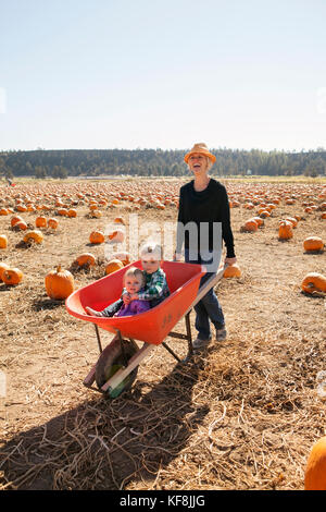 Stati Uniti d'America, oregon, piegare una madre ruote intorno ai suoi due bambini possono sedersi dentro una carriola all'annuale zucca patch situato in terrebone vicino a Smith ro Foto Stock