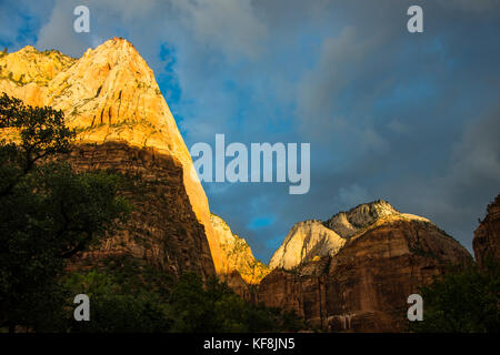 La mattina presto la luce del sole che splende su imponenti scogliere del parco nazionale di Zion, Utah, Stati Uniti d'America Foto Stock