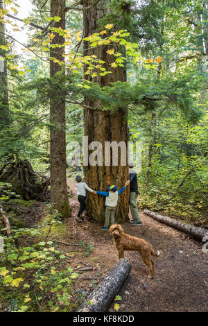 Stati Uniti d'America, Oregon, Oregon Cascades, una giovane famiglia escursioni fuori per il proxy cade situato fuori la mckenzie passano sulla Hwy 242, la wilamette national forest Foto Stock