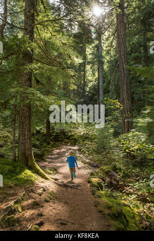 Stati Uniti d'America, Oregon, Oregon Cascades, un giovane ragazzo corre sulla pista durante la passeggiata fuori per il proxy cade situato fuori la mckenzie passano sulla Hwy 242, la wilamette Foto Stock