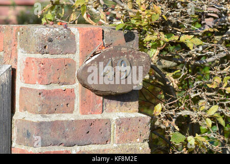 Il numero civico 49 segno sulla parete Foto Stock