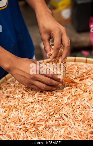 Filippine, Manila, qulapo distretto, gamberi secchi per la vendita al mercato quina Foto Stock