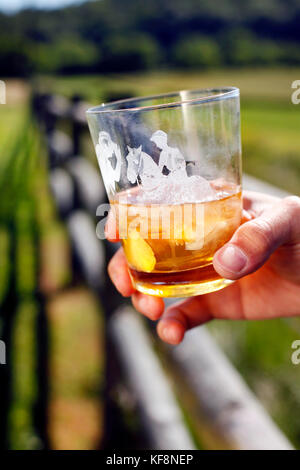 Stati Uniti d'America, Tennessee, Nashville, Iroquois siepi, Tennessee whiskey on the rocks Foto Stock