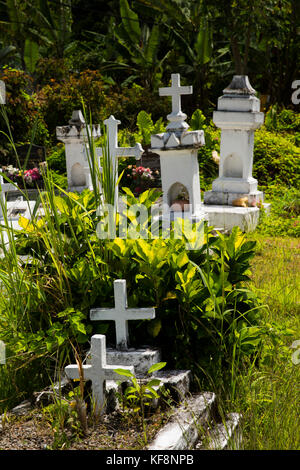 La Seychelles, Mahe, Anse Royale, sepoltura, fogliame tra tombe Foto Stock