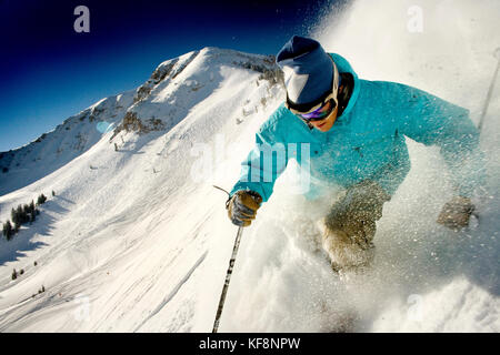 Stati Uniti d'America, Utah, giovane uomo sci Lee's tree, alta ski resort Foto Stock