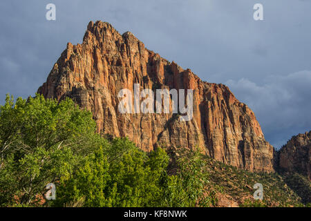 In ritardo la luce del sole incandescente sulle rocce del parco nazionale di Zion, Utah, Stati Uniti d'America Foto Stock