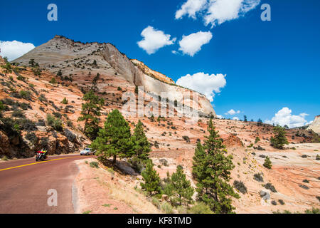 Strada che conduce attraverso il parco nazionale di Zion, Utah, Stati Uniti d'America Foto Stock