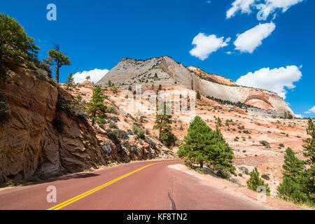 Strada che conduce attraverso il parco nazionale di Zion, Utah, Stati Uniti d'America Foto Stock
