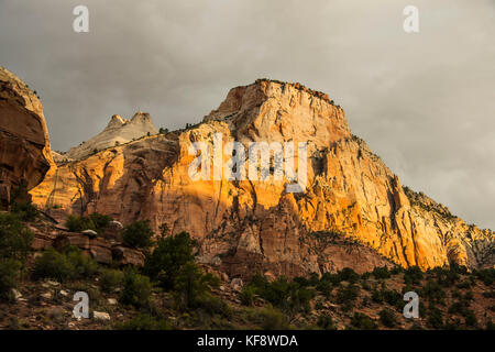La mattina presto la luce del sole che splende su imponenti scogliere del parco nazionale di Zion, Utah, Stati Uniti d'America Foto Stock