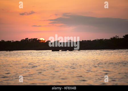 Isole Galapagos, Ecuador, il sole che tramonta dietro gli alberi su Fernandina Island Foto Stock