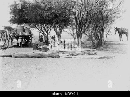 1 108972 Drover's camp a Hughenden, ca. 1916 Foto Stock