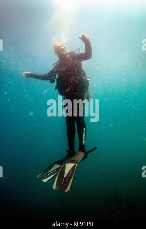 Isole Galapagos, ecuador, individui le immersioni nelle acque in prossimità di rocce gordon Foto Stock