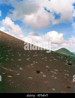 Ecuador isole Galapagos, paesaggio e vegetazione, bartolome island Foto Stock