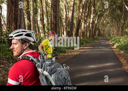 Stati Uniti d'America, Hawaii, la big Island, mountain bike attraverso il ferro gli alberi di legno sulla corsia di fango dalla strada 19 verso il basso per strada 240, giornalista Daniel duane e chef seamu Foto Stock