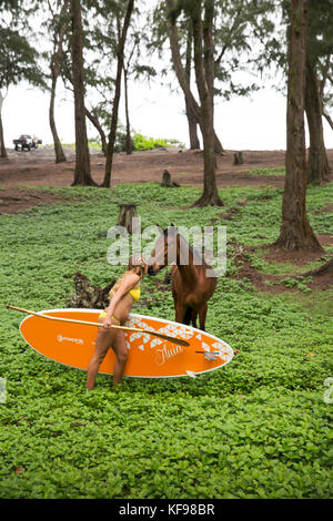 Stati Uniti d'America, Hawaii, la grande isola, paddle boarder e cavalli selvaggi in waipio valley Foto Stock