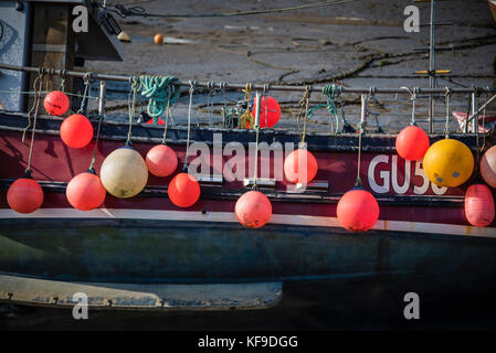 Boe colorate sulla barca da pesca, Lyme Regis, Regno Unito. Foto Stock