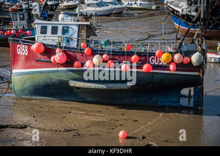 Boe colorate sulla barca da pesca, Lyme Regis, Regno Unito. Foto Stock