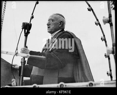 22354 il giorno di San Patrizio sport ad Showground Foto Stock