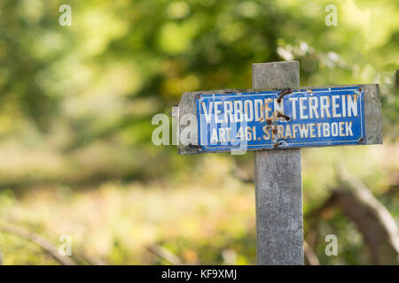 Cartello blu con il testo olandese nessun accesso Articolo 461 Diritto penale codice Foto Stock