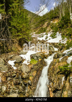 Uno dei tre cascate che può essere trovato sulla strada per il lago morskie oko nel parco nazionale dei Tatra, Polonia Foto Stock