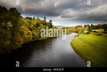 Il fiume Tweed presso Gattonside vicino a Melrose Foto Stock